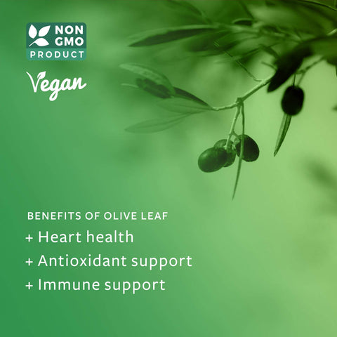 what are the benefits of olive leaf extract