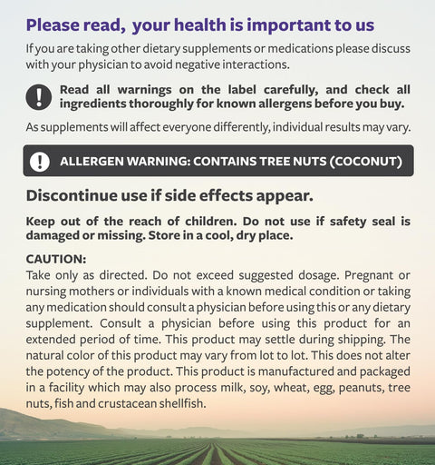 Elderberry Immune Support Gummies For Kids, Raspberry