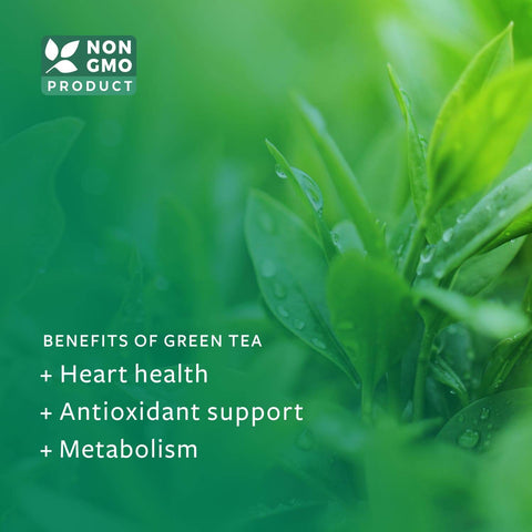 what are the benefits of green tea extract