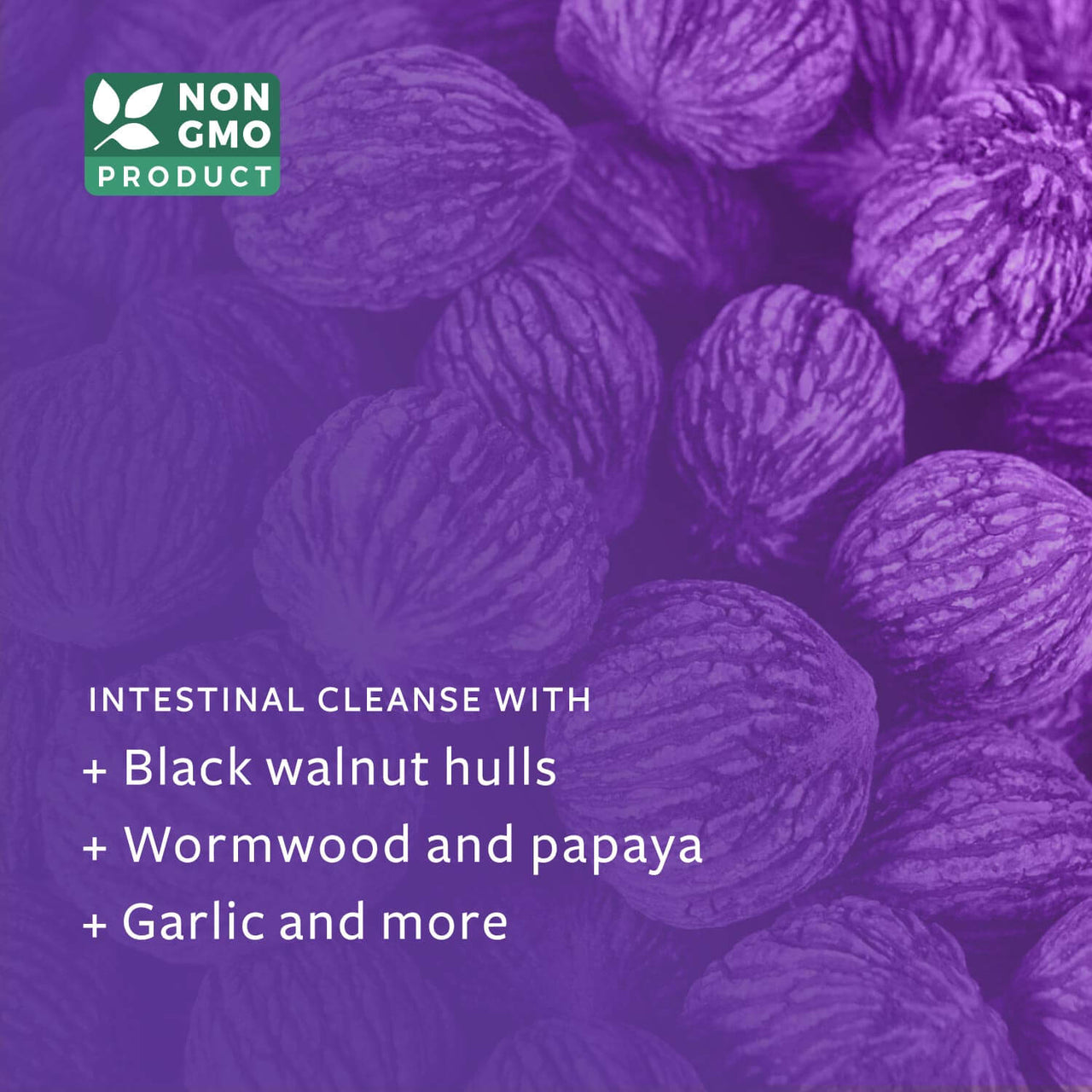 Potent intestinal cleanse with wormwood non gmo