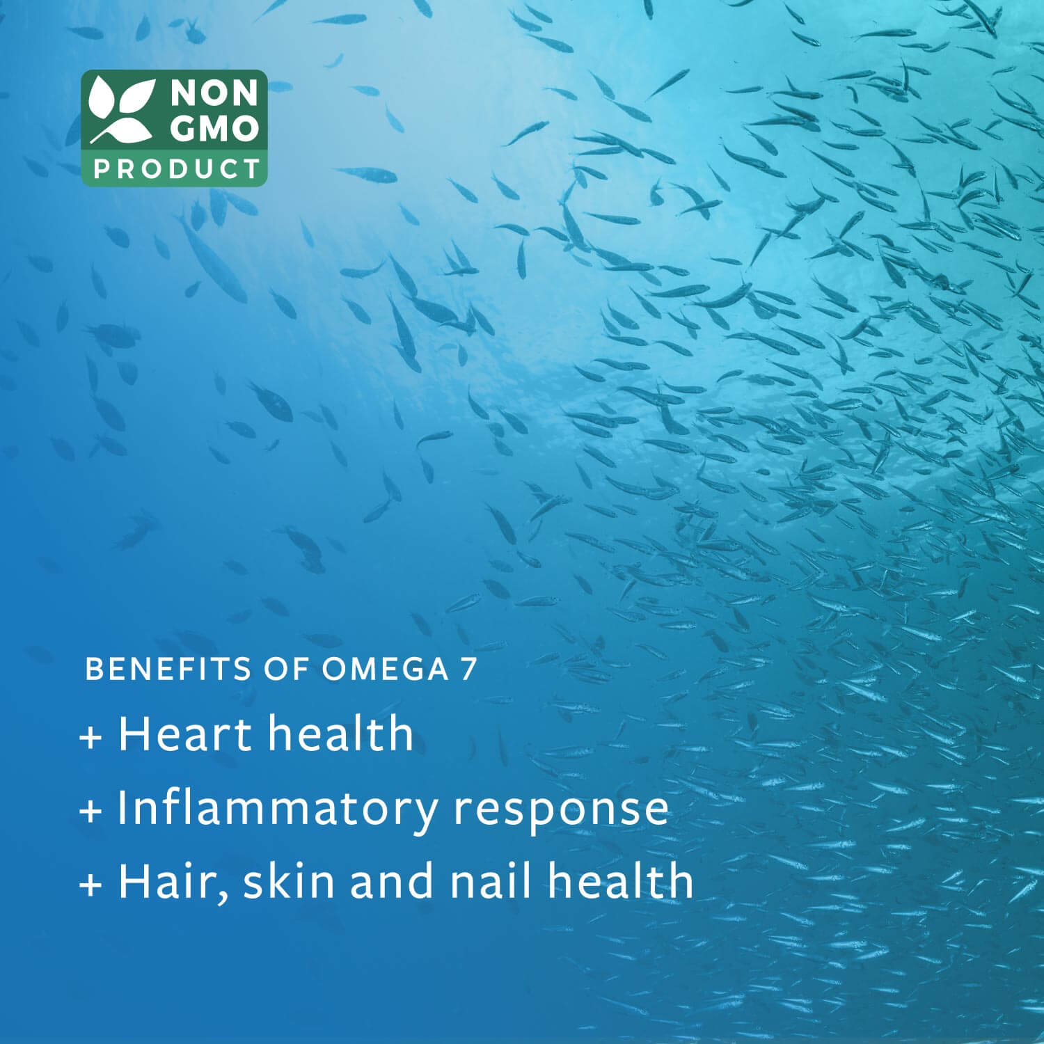 Pure Omega 7 Fish Oil Capsules Provinal Sourced