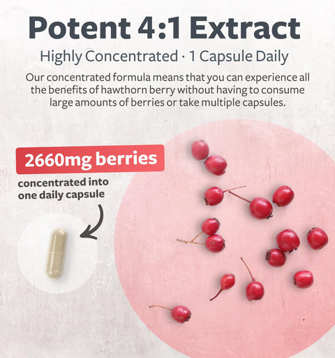 Hawthorn Berry Capsules